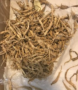 1lb West Virginia ginseng roots