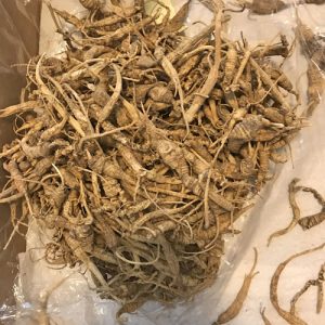 1lb West Virginia ginseng roots