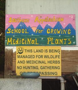 school for medicinal plants