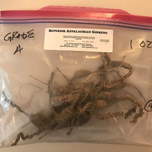 Grade A ginseng root