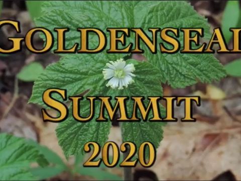 Goldenseal Summit 2020 (Part 2)