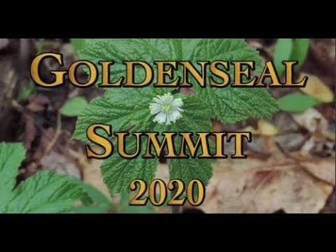 Goldenseal Summit 2020 Trailer