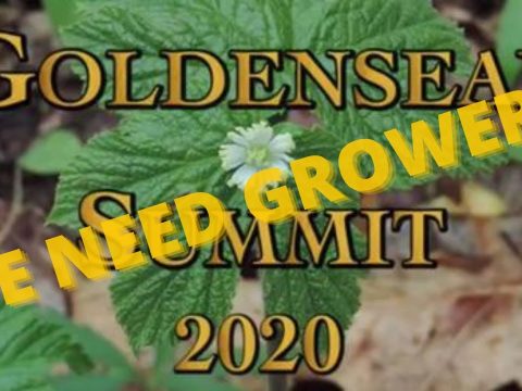 We Need Goldenseal Growers