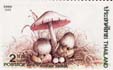 paddy_straw_thailand.jpg