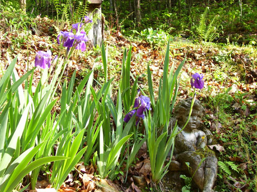 100_0040.jpg