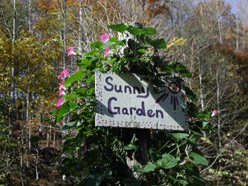 sunnygarden2.jpg