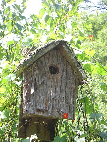 pict0039.jpg
