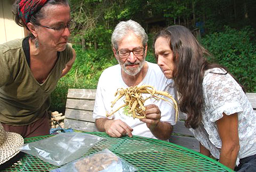 ginseng_hunt_2010_159.jpg