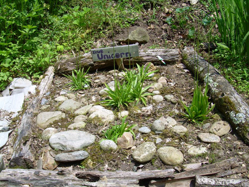 dscn0147.jpg
