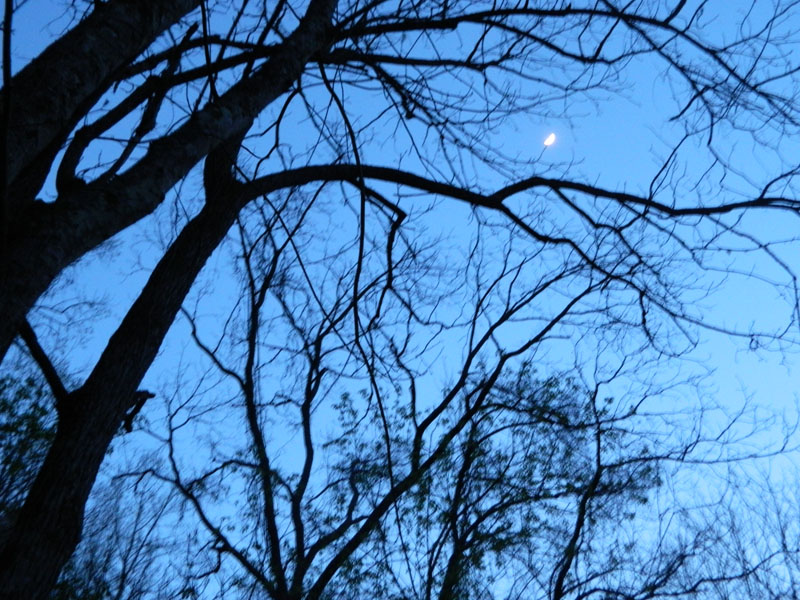 dscn0216.jpg