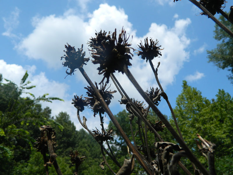 dscn1037.jpg