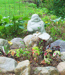 eidus---budda.jpg